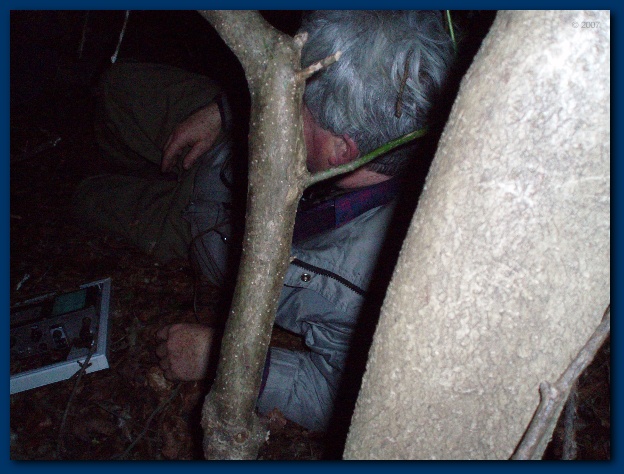 600x449 pixels (129K)